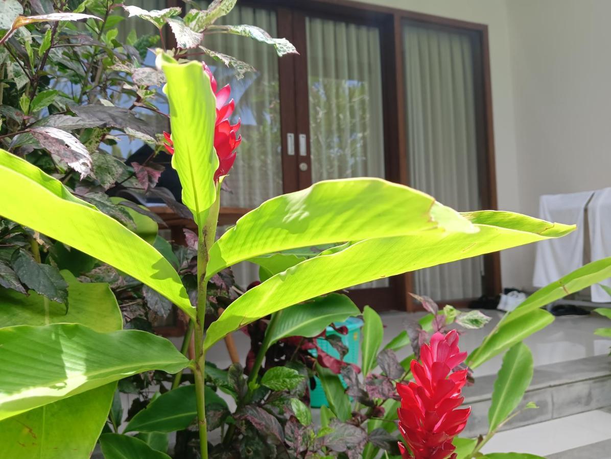 Kama Ayu Bungalow Ubud  Luaran gambar